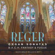 REGER /  FALCIONI - REGER: ORGAN SONATAS CD
