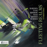 BABCOCK /  MASEK / FRY - FLEETING REALMS CD