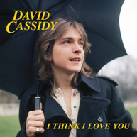 DAVID CASSIDY - I THINK I LOVE YOU VINYL