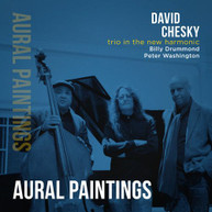 DAVID CHESKY - TRIO IN THE NEW HARMONIC: AURAL PAINTINGS CD