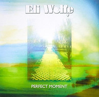 ELI WOLFE - PERFECT MOMENT CD