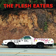 FLESH EATERS - I USED TO BE PRETTY CD
