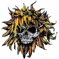 SUNFLOWER DEAD - C O M A CD