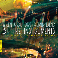 BIGGS /  NAZRO / MCGONAGIL - WHEN YOU ARE REMINDED BY THE INSTRUMENTS CD