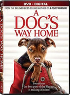 DOG'S WAY HOME DVD