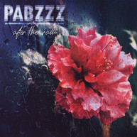 PABZZZ - AFTER THE RAIN VINYL
