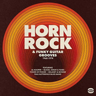 HORN ROCK &  FUNKY GUITAR GROOVES 1968 -1974 / VAR VINYL