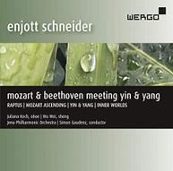 SCHNEIDER /  KOCH / GAUDENZ - MEETING YIN & YANG CD