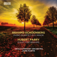 BRAHMS /  GAVLE SYMPHONY ORCHESTRA - PIANO QUARTET IN G MINOR / ELEGY CD