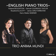 ENGLISH PIANO TRIOS /  VARIOUS - ENGLISH PIANO TRIOS CD