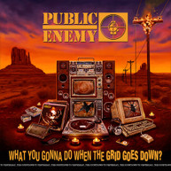 PUBLIC ENEMY - WHAT YOU GONNA DO WHEN THE GRID GOES DOWN VINYL