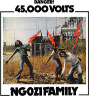 NGOZI FAMILY - 45,000 VOLTS VINYL
