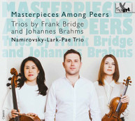 BRAHMS / NAMIROVSKY-LARK-PAE TRIO -LARK-PAE TRIO - MASTERPIECES AMONG CD