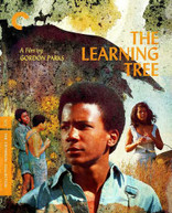 CRITERION COLLECTION - LEARNING TREE, THE BLURAY