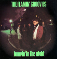 FLAMIN' GROOVIES - JUMPIN' IN THE NIGHT CD