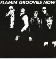 FLAMIN' GROOVIES - NOW CD