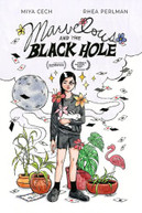 MARVELOUS AND THE BLACK HOLE DVD