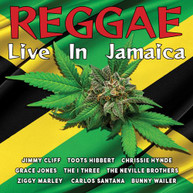 REGGAE: LIVE IN JAMAICA / VARIOUS CD
