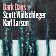 WOLLSCHLEGER /  LARSON - DARK DAYS CD