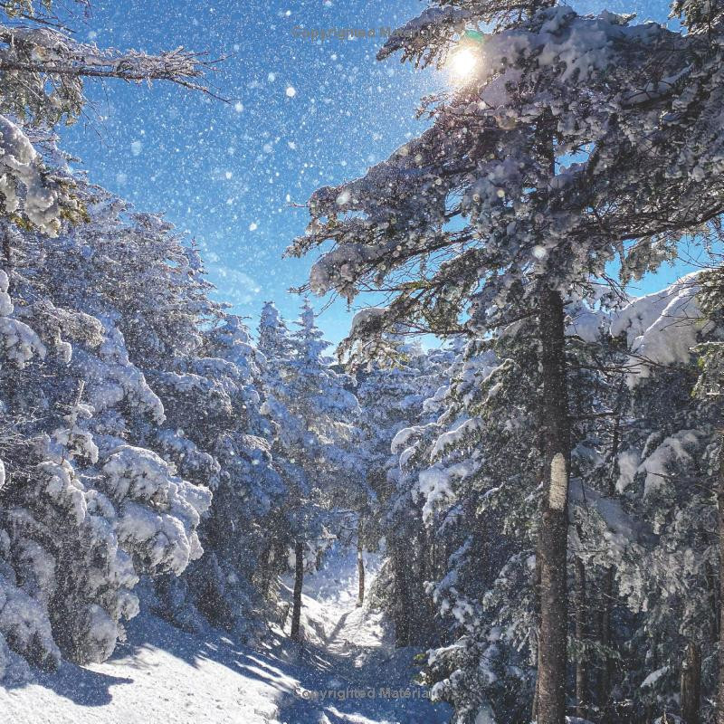 Appalachian Trail Conservancy Calendar (2025) Appalachian Trail