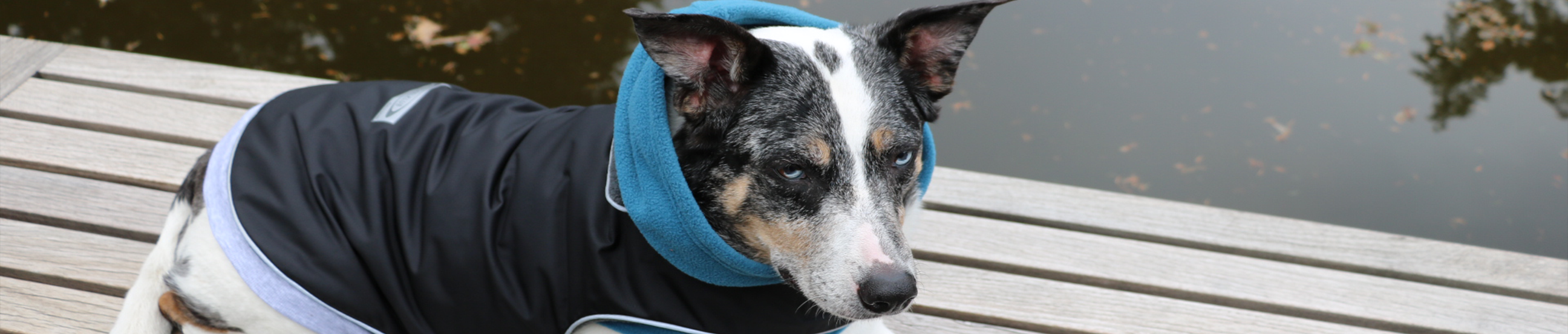 teckelklub dog fleece