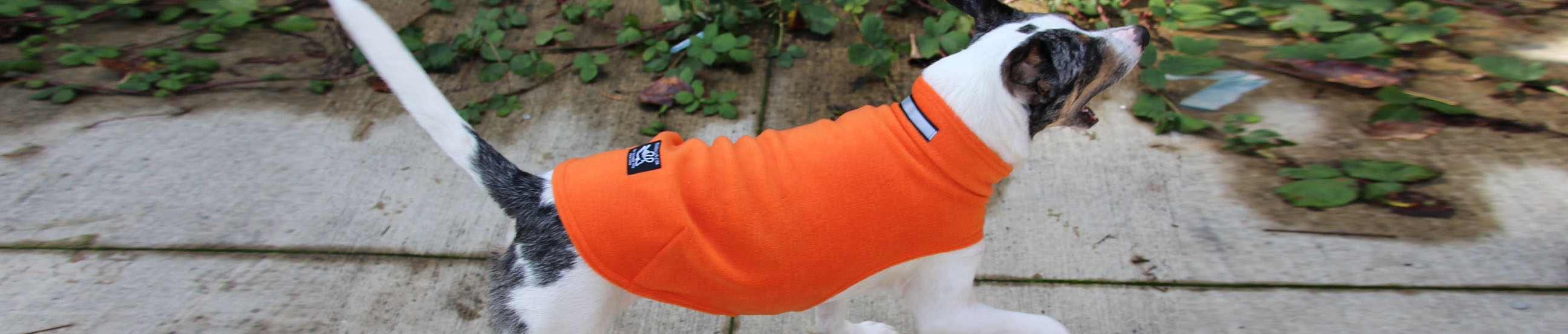 Dog Coats, Jackets & Sweaters waterproof winter coats for active dogs