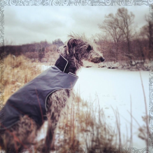 Canada Best Selling Winter Dog Coat
