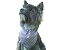 Functional All Season Pinstripe