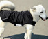 Lightweight, High Performance Dog Coat 