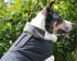 Quality Dog Coat with Dual zipper harness opening