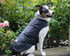 Waterproof Breathable Reversible Fits all Dogs