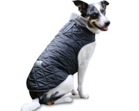 Waterproof Protection for Dogs