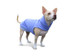 Denim Blue Fleece Dog Hoodie 