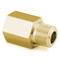 Adapter, 1/2" MNPT x 1/2" FNPT, Brass