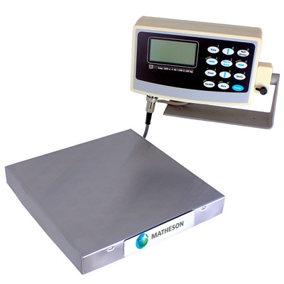 DS-R Series Cylinder Scale (Electronic)