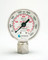 63-2206V Pressure Gauge with Face Seal - Female (SS)