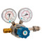 Model 3240 Series Single-Stage High-Purity/High Flow Brass Regulator