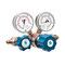Model 3030 and 3040 Series Single-Stage High-Purity/High Delivery Pressure Brass Regulators