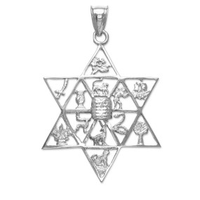 White Gold Star of David with Twelve Tribes of Israel Pendant
