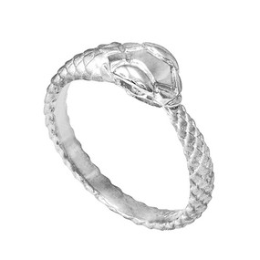 silver ouroboros ring