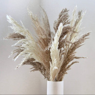 Real pampas set of 3 stems