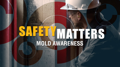 Safety Matters: Mold Awareness