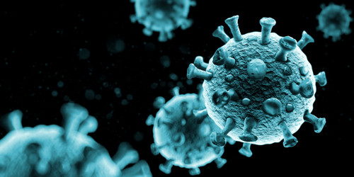 Emerging Viruses: The COVID-19 Pandemic