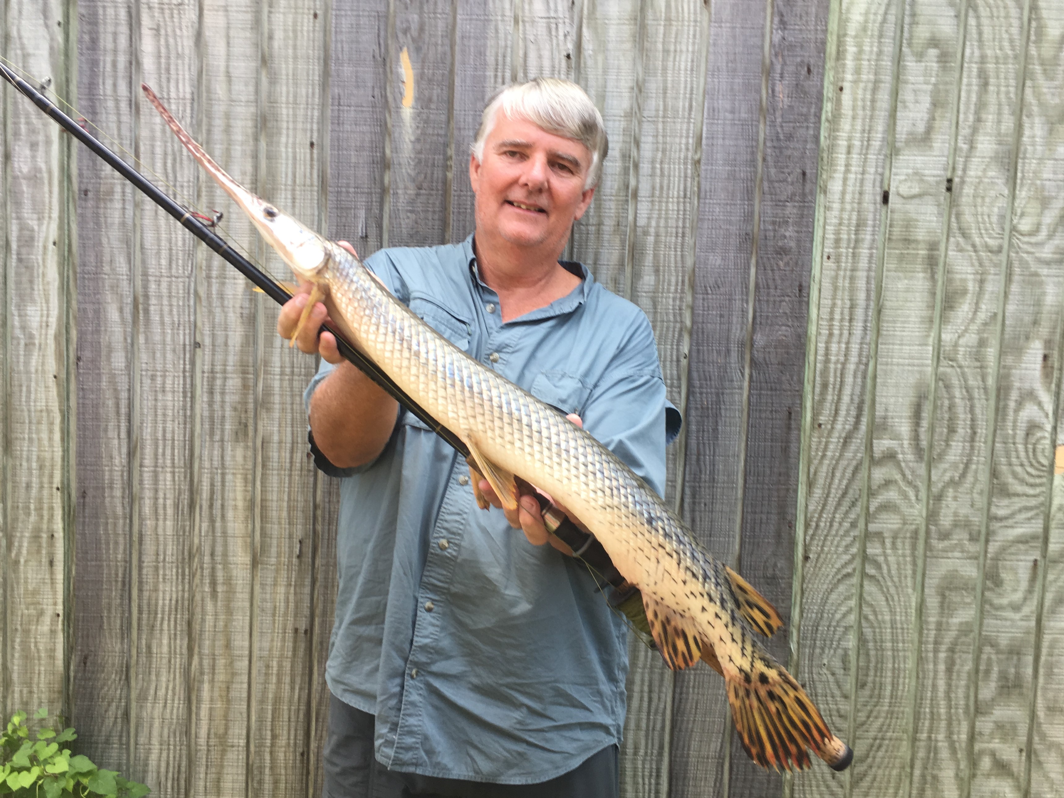 Gar Fishing in Texas - Sportsman's Connection