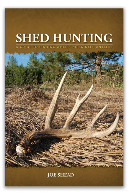 Shed Hunting: A Guide to Finding White-Tailed Deer Antlers