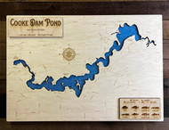Cooke Dam Pond (Au Sable River reservoir) - Wood Engraved Map