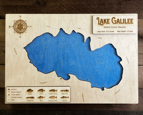 Galilee - Wood Engraved Map