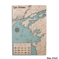 Lake Ontario Section (Stoney Pt to Wolfe Island) (No Contours)
