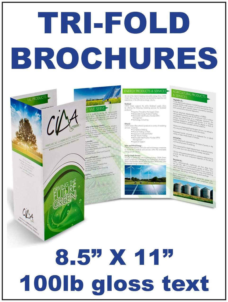 Brochures - Tri-fold, 8.5