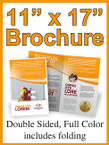 Brochures - 11" X 17" Standard Paper Double Sided Color  - From $48